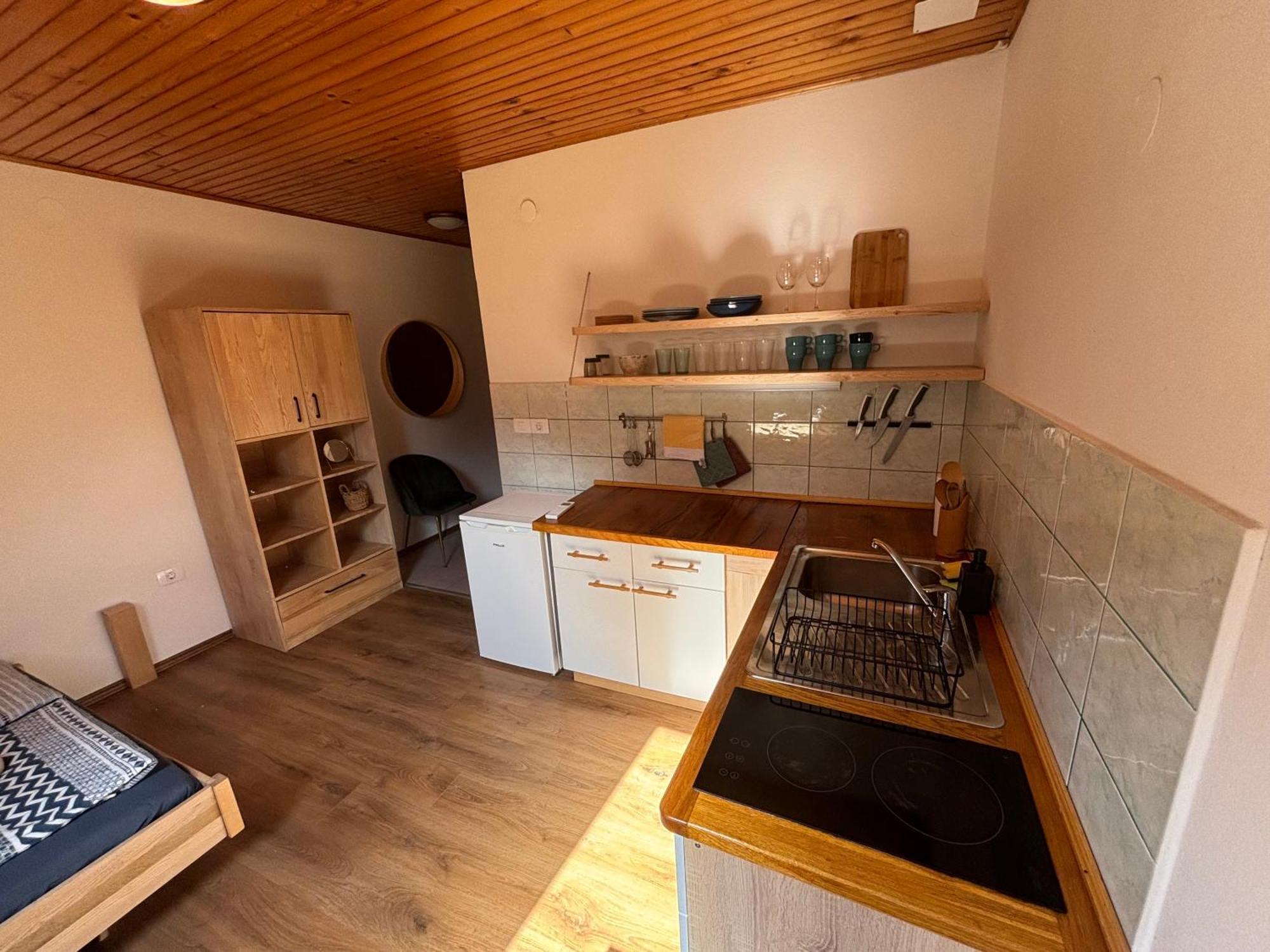 Hisa Patricija Apartment Soca Ngoại thất bức ảnh